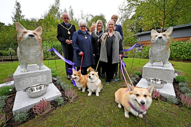 The official unveiling of two new sculptures of Corgis outside Walsall Arboretum Visitor Centre, commemorating Her Majesty Queen Elizabeth II. The sculptures were unveilled by Lord Lieutenant of the West Midlands, Louise Bennett MBE. Release date ??? October 4, 2024. A cash-strapped council has been slammed for spending ??35,000 of taxpayers cash on two corgi statues in tribute to Queen Elizabeth II. Walsall Council forked out thousands of pounds on the stone corgis which have gone on display in Walsall Arboretum as it celebrates its 150th anniversary. But many residents have questioned whether the cash could have been spent better elsewhere as the authority looks to slash ??20m from its budget this year. Locals also pointed to the fact council tax had been raised by 4.99 per cent and said they failed to 'see the point' of the 5ft long commemorative corgi statues. Tracey Wilkins, 55, of Blakenall, Walsall, said: "I like them, but it's a bit controversial, isn't it?