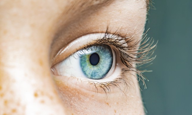 Scientists claim to have found a new colour no one has seen before