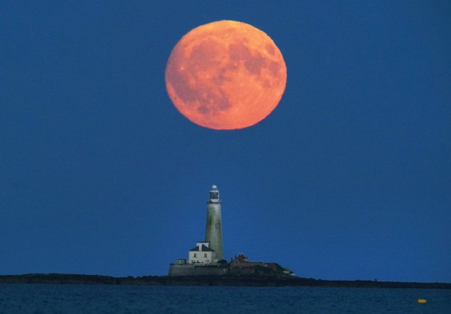 The Full Buck supermoon rises over St Mary's Lighthouse in Whitley Bay, on the North East coast of England. The July supermoon is arriving to its closest point to Earth at 224,895 miles (361,934km) - around 13,959 miles (22,466km) closer than usual. It appears 5.8 per cent bigger and 12.8 per cent brighter than an ordinary full moon. Picture date: Sunday July 2, 2023.