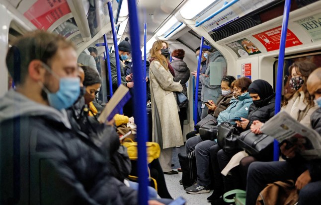 Commuters, most wearing face coverings to mitigate the spread of Covid-19, travel on a Transport for London (TfL) Victoria Line underground tube train carriage towards central London on January 5, 2022. - British hospitals have switched to a "war footing" due to staff shortages caused by a wave of Omicron infections, the government said Tuesday, as the country's daily Covid caseload breached 200,000 for the first time. (Photo by Tolga Akmen / AFP) (Photo by TOLGA AKMEN/AFP via Getty Images)