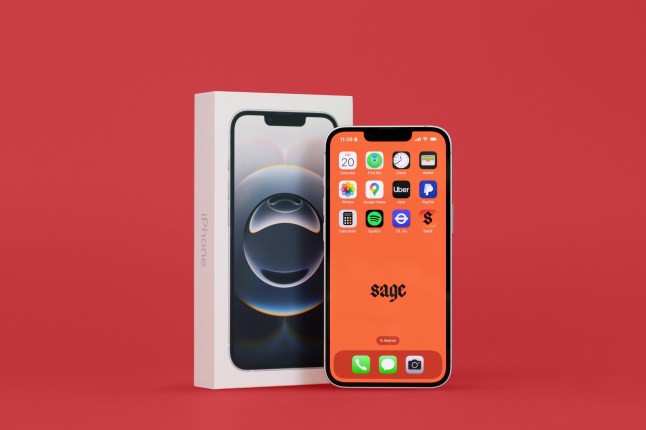 New Sage iPhone aims to reduce your children?s screentime but costs ?99 a month
