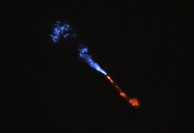 This image shows jets of silicon monoxide (SiO) blowing away from the baby star HOPS-315. The image was obtained with the with the Atacama Large Millimeter/submillimeter Array (ALMA), in which ESO is a partner. The blue jet is moving towards us, and the red one is moving away. Observations taken with the James Webb Space Telescope (JWST) show signatures of SiO moving at about 10 km/s. The SiO jets seen in this ALMA image move about 10 times faster though. This means that the slow-moving SiO must be located in a small area around the star, about the size of the asteroid belt around our Sun, too small to be seen in this image. Also, the abundance of gaseous SiO measured in the jet seen with ALMA is lower than expected. Since the composition of the jet should be similar to that of the disc from where the jet emerges, this means that some of the gaseous SiO in the disc is condensing into solid material.