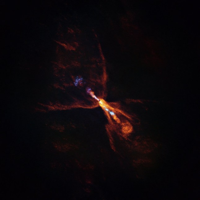 This is HOPS-315, a baby star where astronomers have observed evidence for the earliest stages of planet formation. The image was taken with the Atacama Large Millimeter/submillimeter Array (ALMA), in which ESO is a partner. Together with data from the James Webb Space Telescope (JWST), these observations show that hot minerals are beginning to solidify. In orange we see the distribution of carbon monoxide, blowing away from the star in a butterfly-shaped wind. In blue we see a narrow jet of silicon monoxide, also beaming away from the star. These gaseous winds and jets are common around baby stars like HOPS-315. Together the ALMA and JWST observations indicate that, in addition to these features, there is also a disc of gaseous silicon monoxide around the star that is condensing into solid silicates ?????? the first stages of planetary formation.
